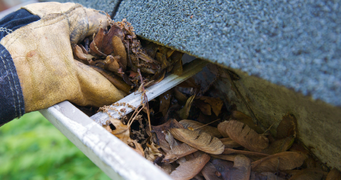 Drain Survey